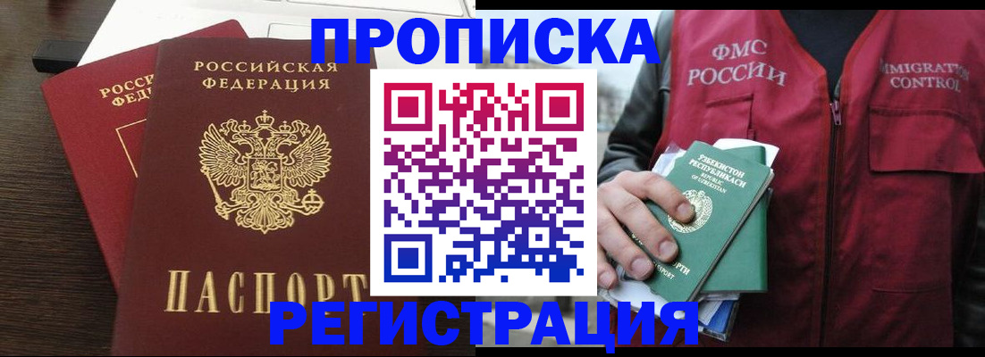 прописка законно в Бердске